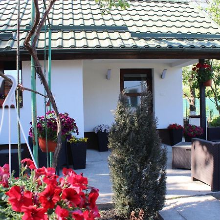 Casuta Artistilor Villa Breaza  Luaran gambar