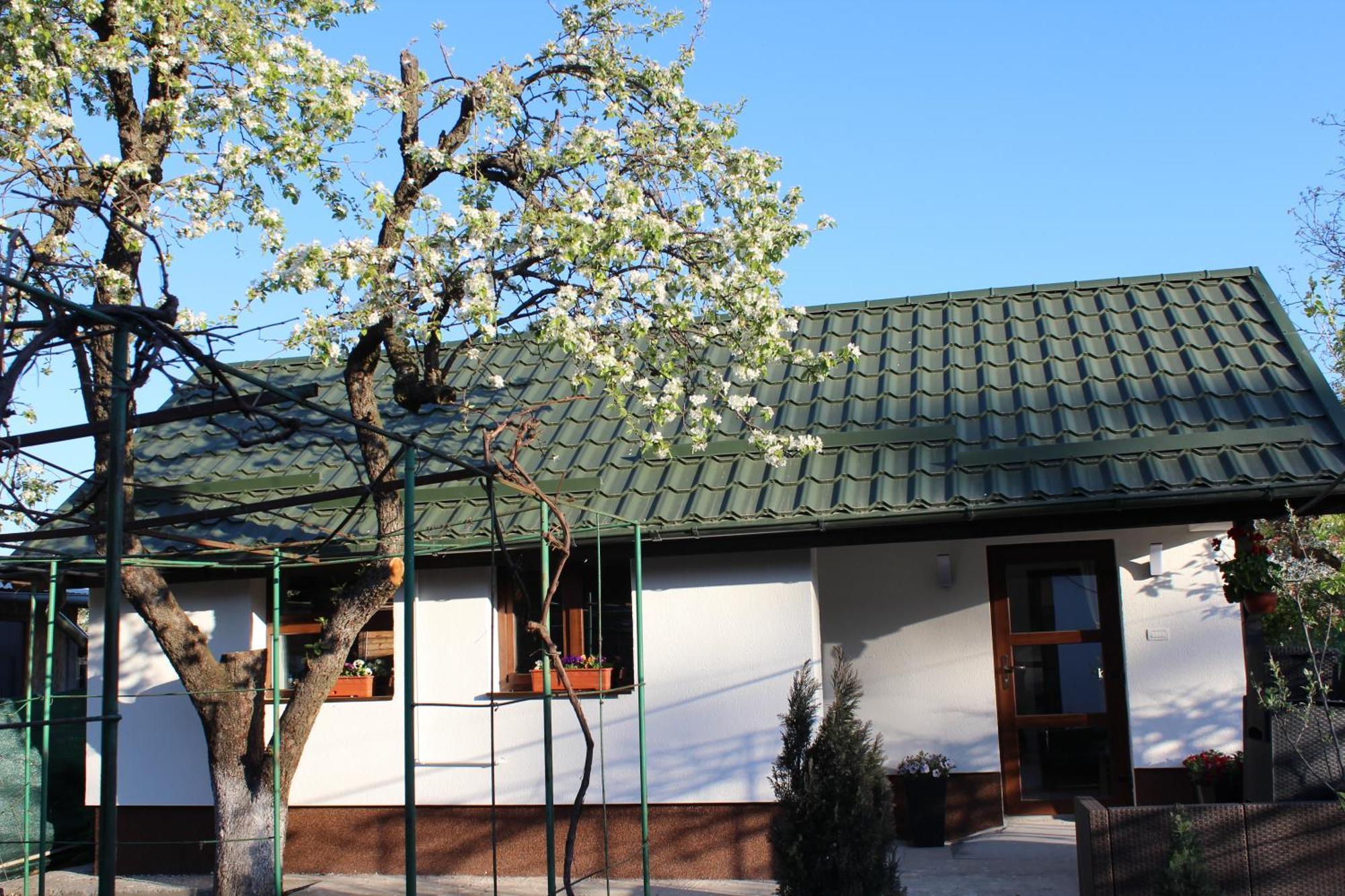 Casuta Artistilor Villa Breaza  Luaran gambar