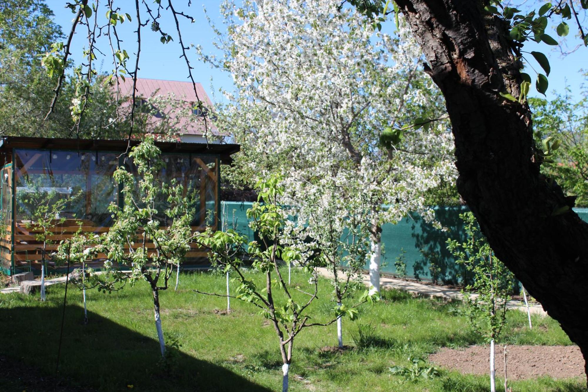 Casuta Artistilor Villa Breaza  Luaran gambar