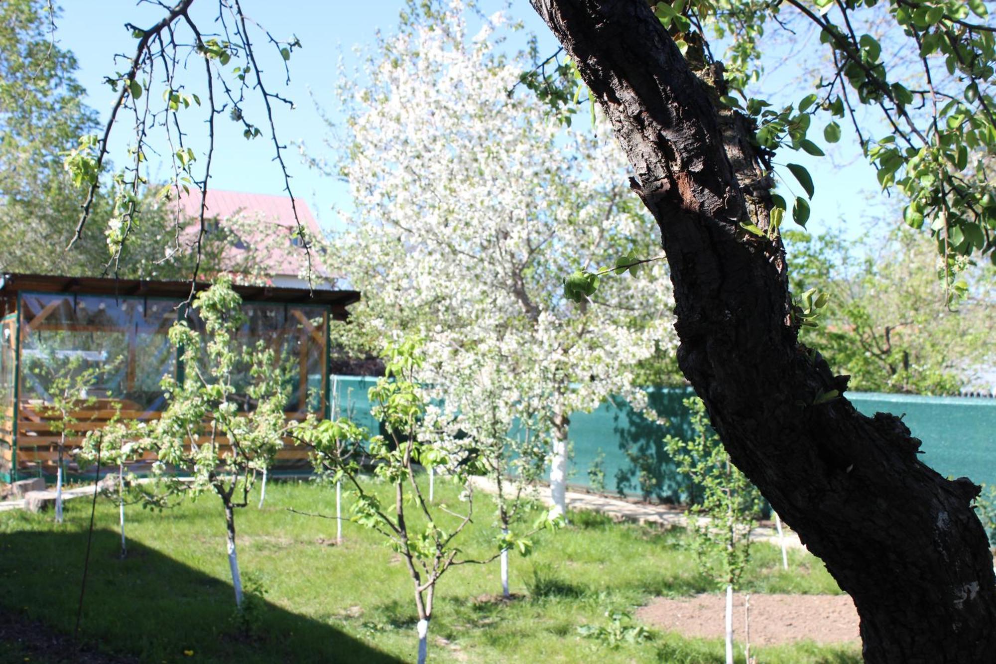 Casuta Artistilor Villa Breaza  Luaran gambar