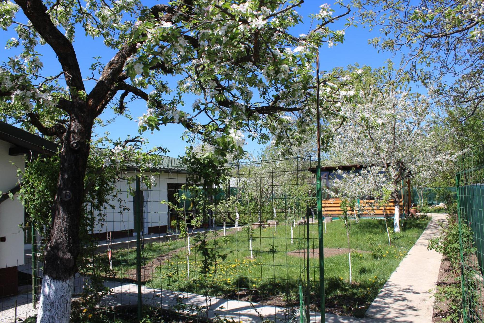 Casuta Artistilor Villa Breaza  Luaran gambar